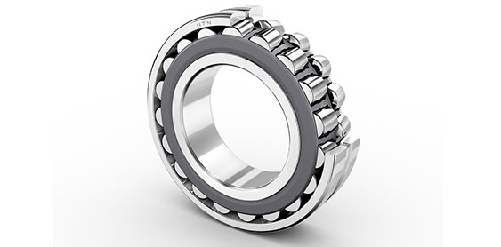 Spherical Roller Bearing (SRB)